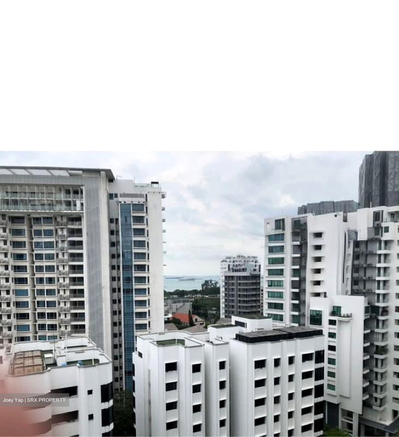 Amber Gardens (D15), Condominium #596580681